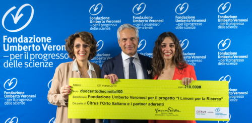 limoni per la ricerca